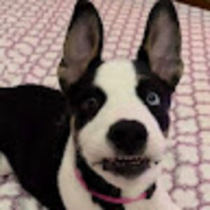 Meet your Posher, Jj marie